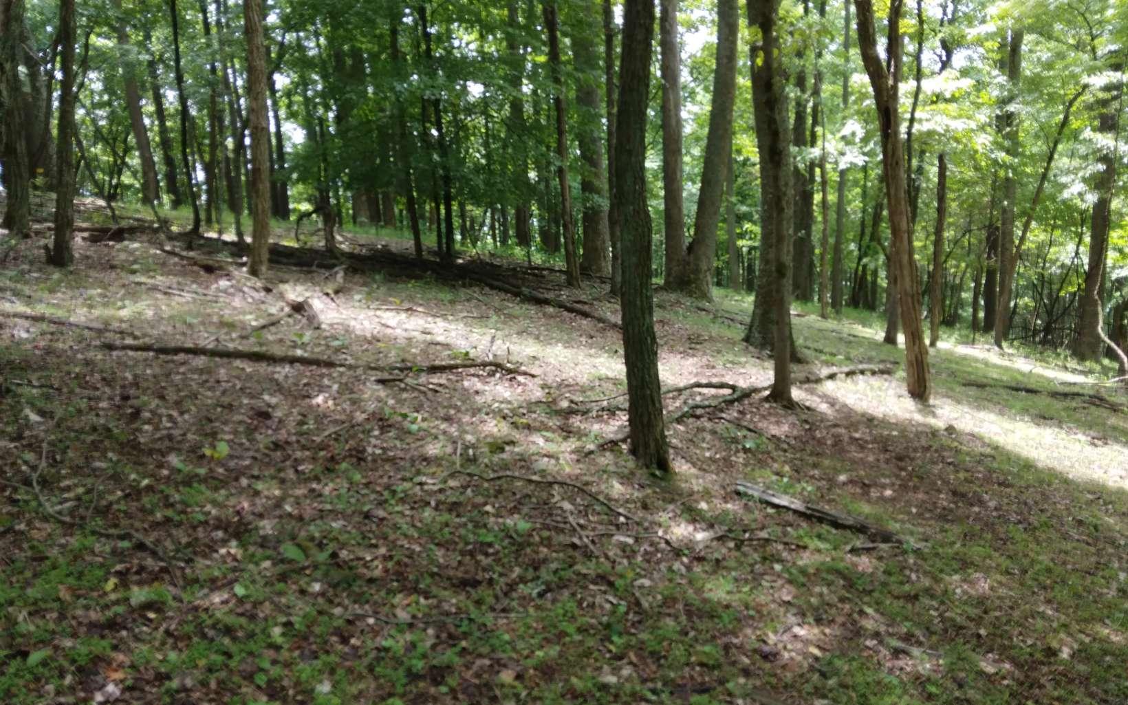 Image 4: Additional View