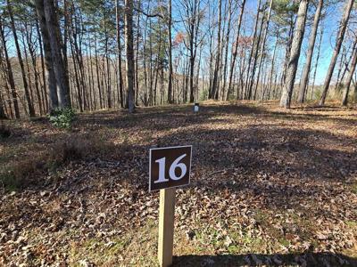 16 Country Road
