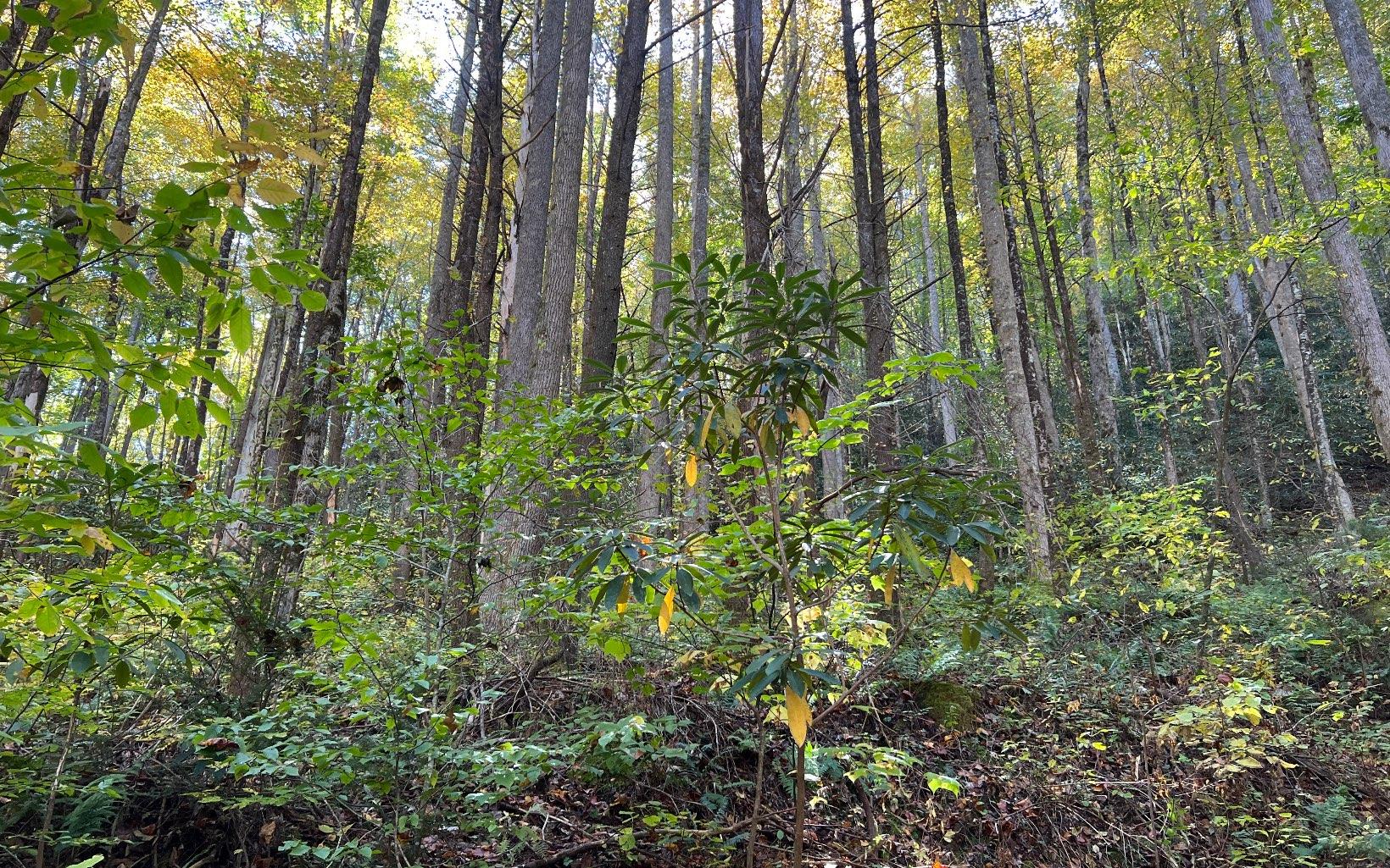 Image 3: Additional View