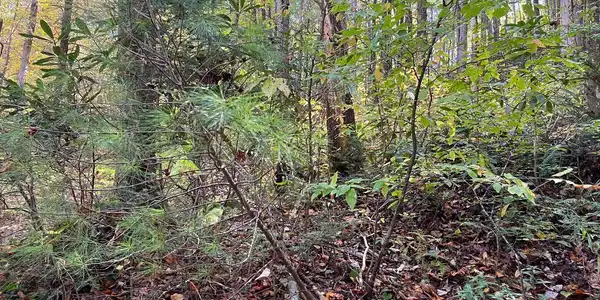 Image 4: Additional View