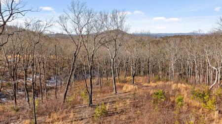 Lot 92 Timberline Trail