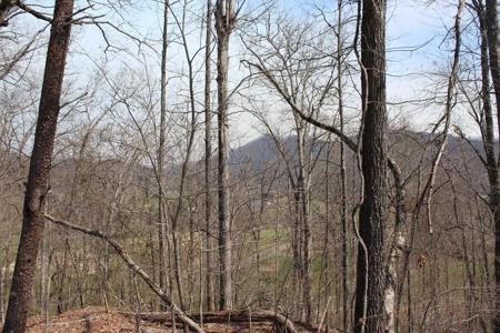 Lot 83A Licklog Ridge