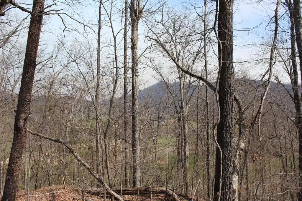 Image 1: Main View