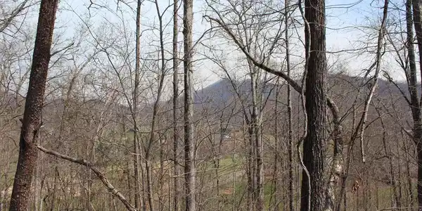 Lot 83A Licklog Ridge
