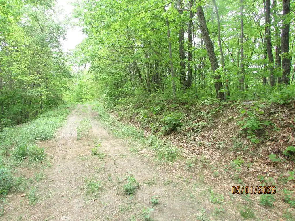 Image 1: Main View