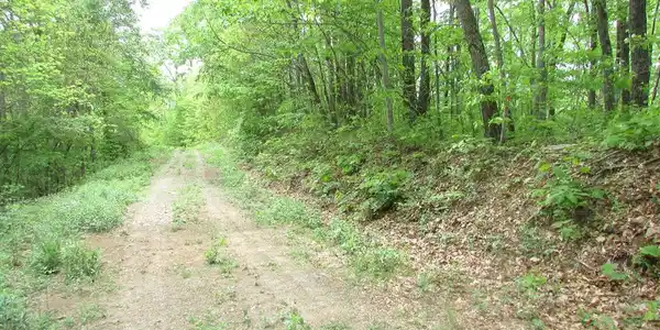 Taylor Knob Drive
