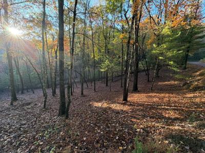 Lot 12A Oak Loop
