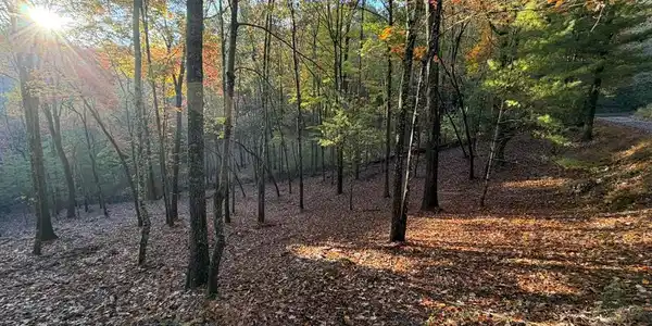 Lot 12A Oak Loop