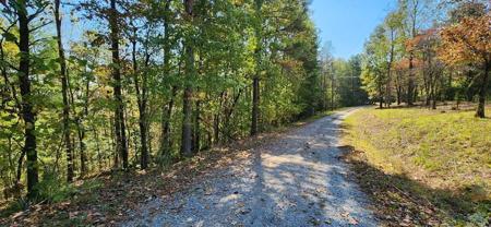 Lot 1699 Shade Tree Drive