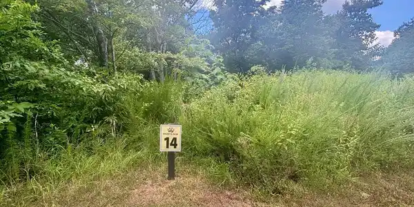 260 Running Bear Lane