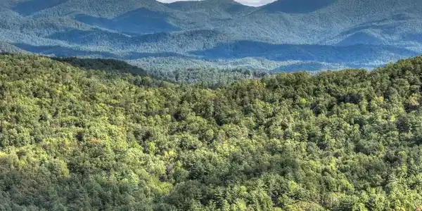 Lot 25 Utana Bluffs Trail