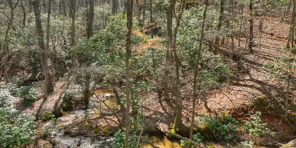 811 Mangums Trail