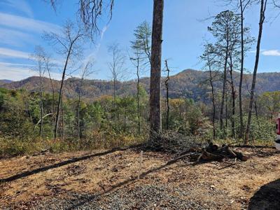25 Odell Loop