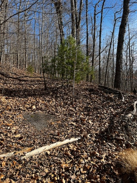 Image 4: Access Drive in place