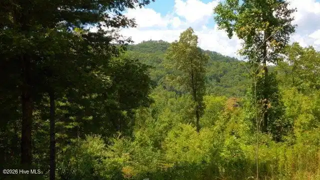 Image 1: Main View