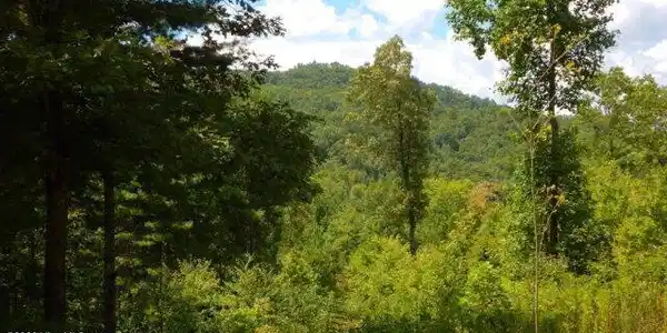 Lot 16 Tyler Ridge