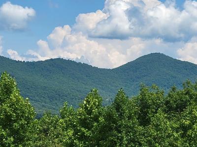 Lot 149 The Mountain