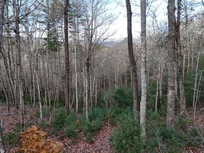 Lot 46 Walker Ridge Way