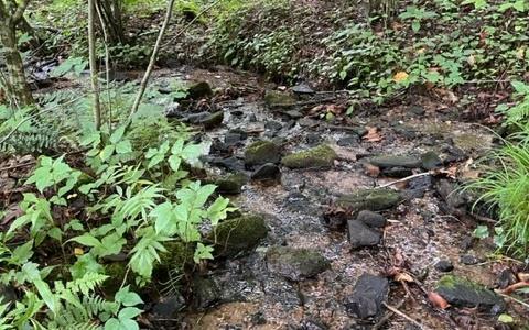 Image 2: Additional View