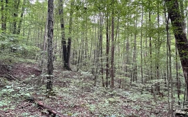 Image 3: Additional View