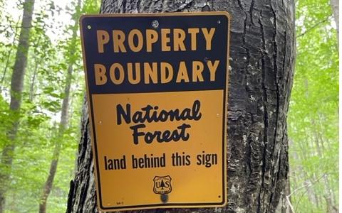 Image 4: Additional View