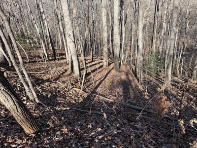 Lot 2 Doc Thomas Ridge Road
