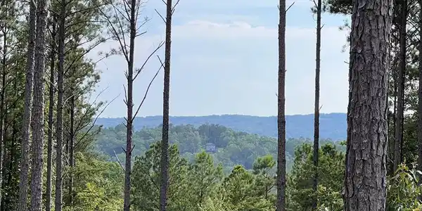 Lot 103 Blalock Mountain Road