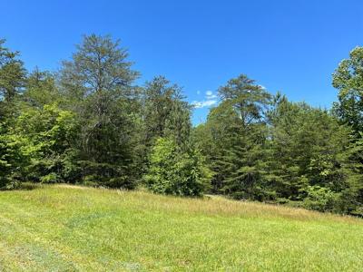 Lot 46A Licklog Ridge