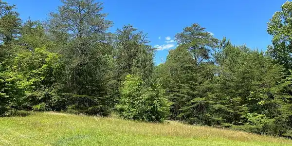 Lot 46A Licklog Ridge