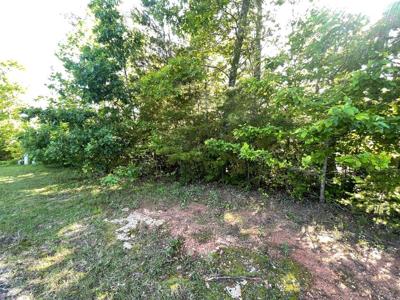 Lot 20 Big Cove Drive