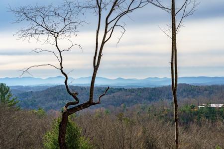 Lot 13 White Oak Circle