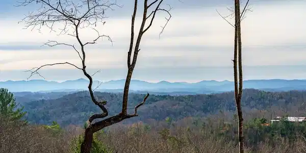 Lot 13 White Oak Circle