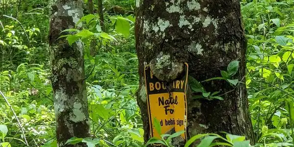 Buck Creek Trail
