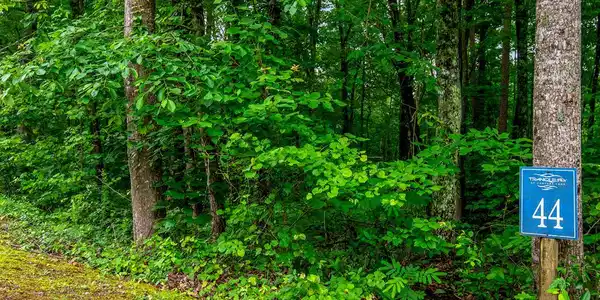 Lot 44 Harris Creek Drive