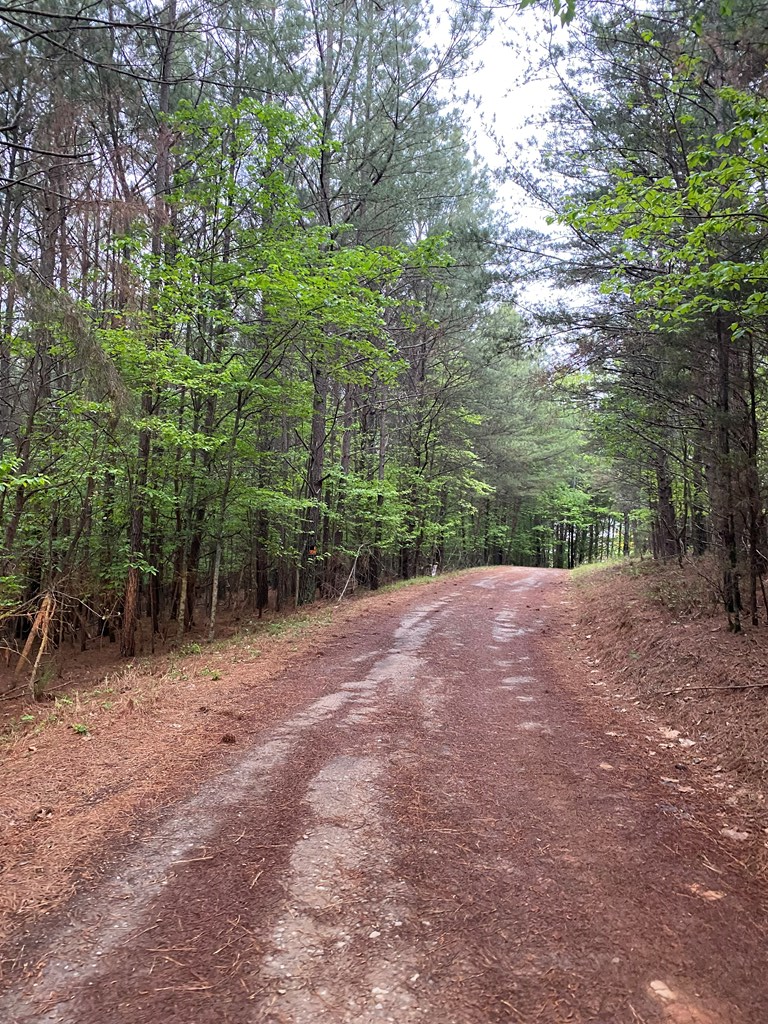 Image 2: Road in front of lot