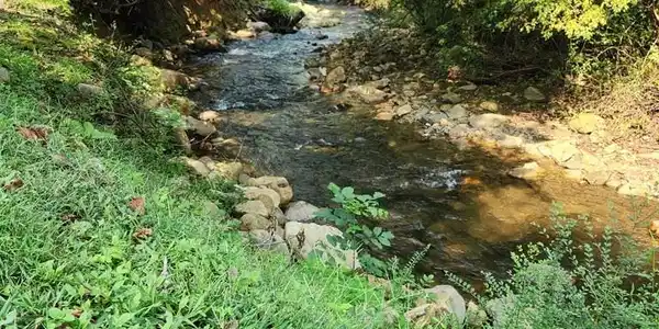 Image 2: Community Creek