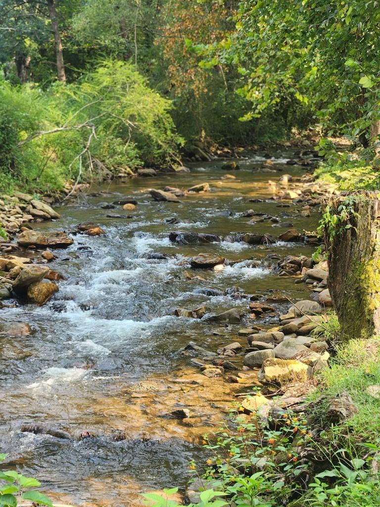 Image 3: Community Creek