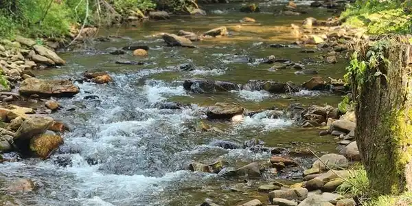 Image 3: Community Creek
