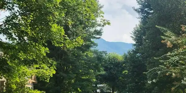 Image 4: Community Road - Lazy Bear Trail