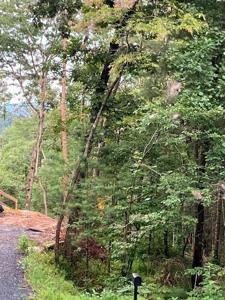 Lot 140 Red Oak Trail