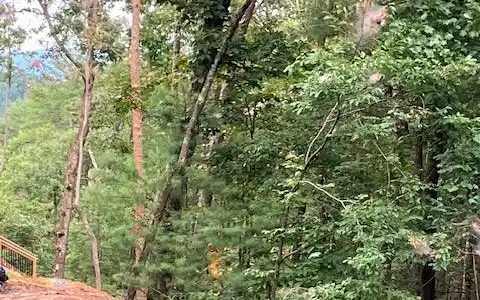 Lot 140 Red Oak Trail