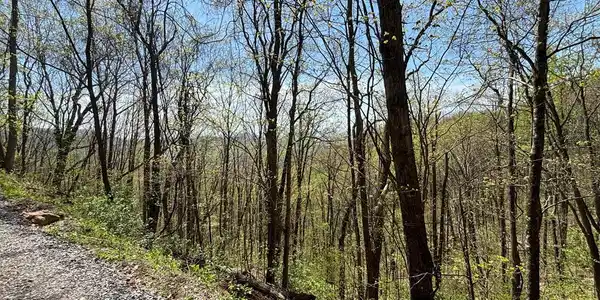 Lot 4 Outlook Road