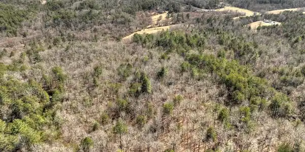 48.4ac Lofty Heights