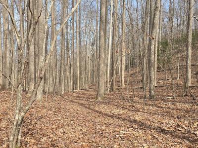 13.75 Ac Caesar Gap Road