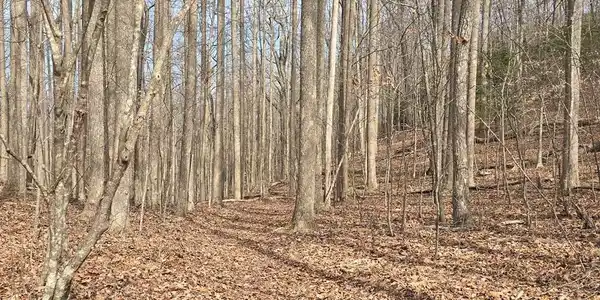 13.75 Ac Caesar Gap Road