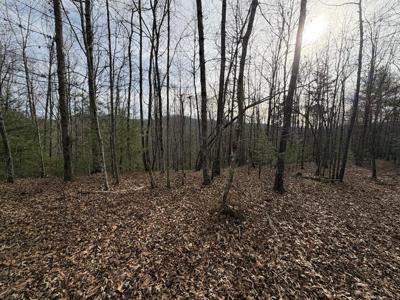 56.6 Ac Cutcane Road
