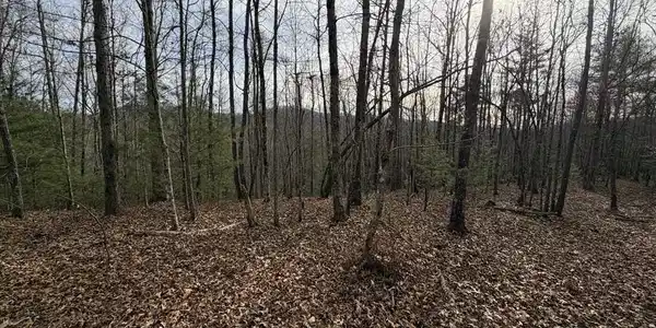 56.6 Ac Cutcane Road