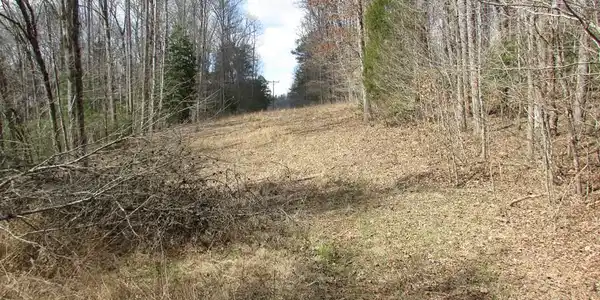 10.5 ac. Phillips Road