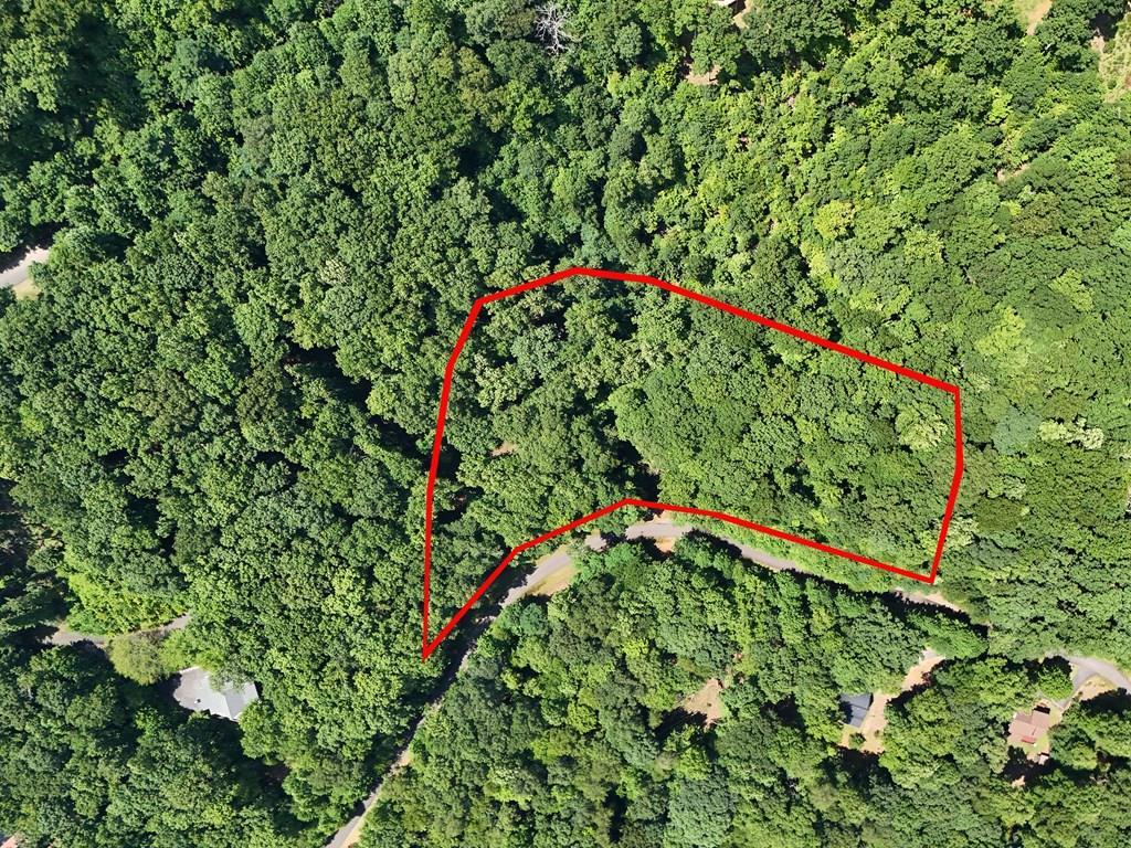 Image 1: Main View
