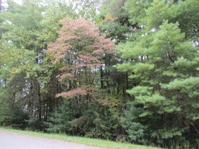 Lot 25 Byers Road